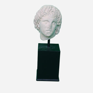 Alexander Head with Broken Nose~Metal Stand