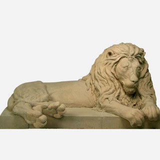 Aslan Lion~Left Facing