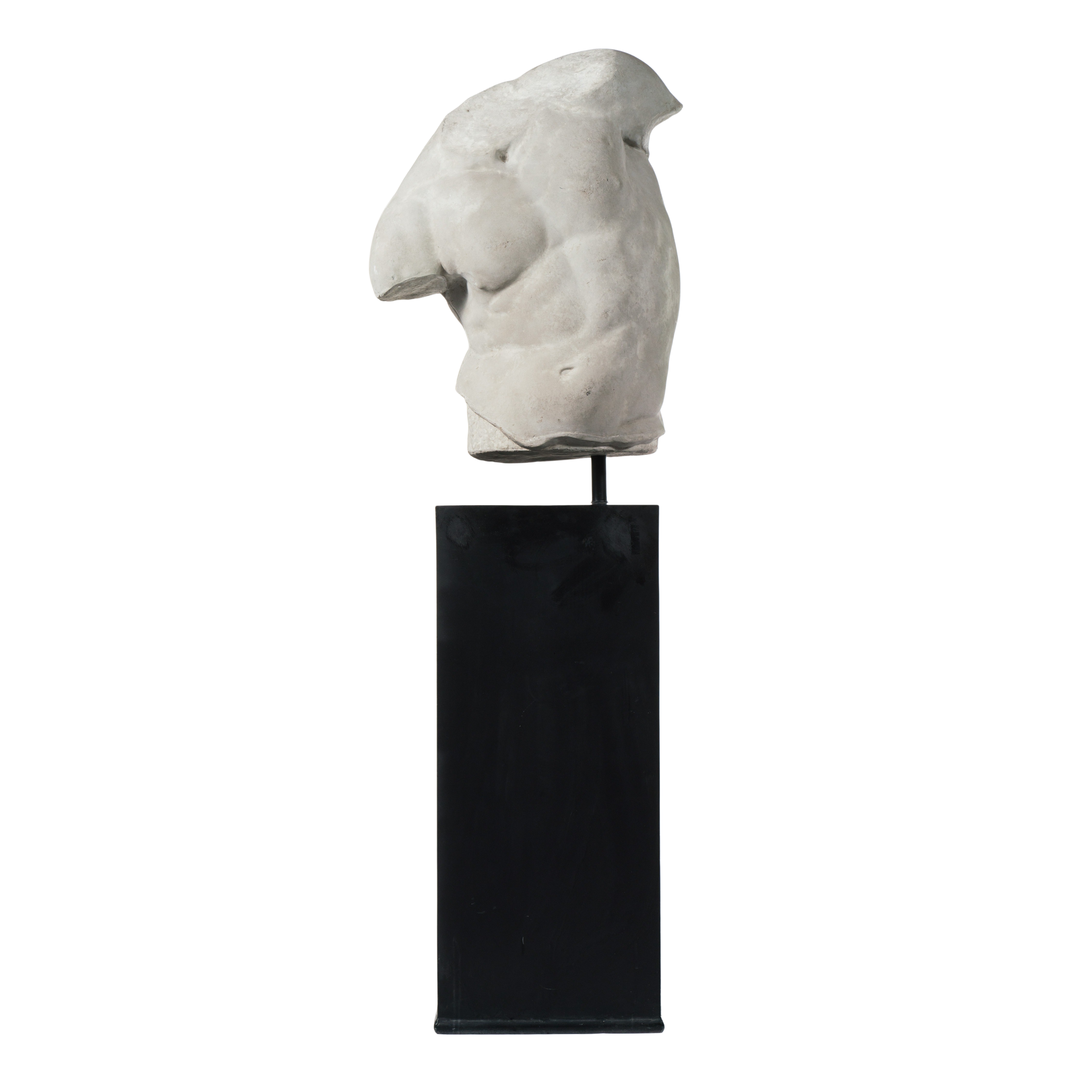 Maximus Torso on Metal Stand