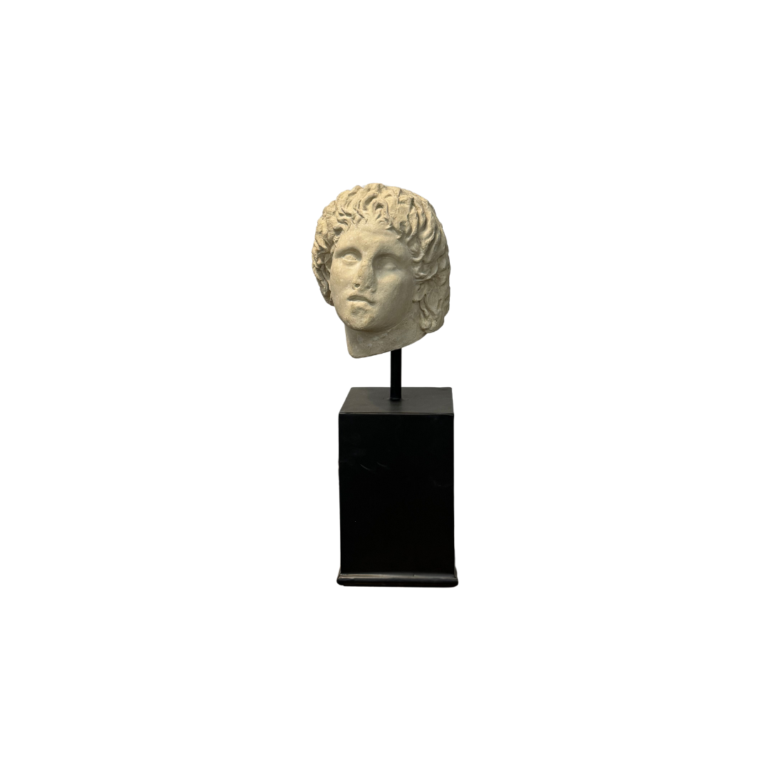 Alexander Head with Broken Nose~Metal Stand