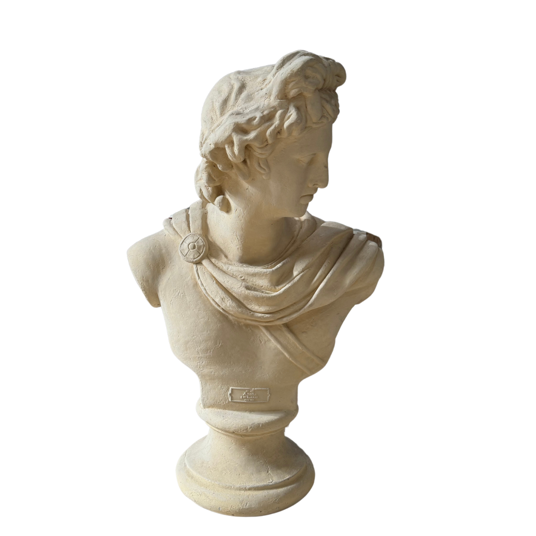 Apollo Bust