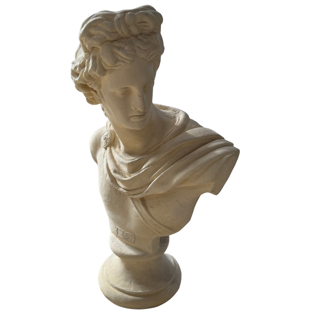 Apollo Bust