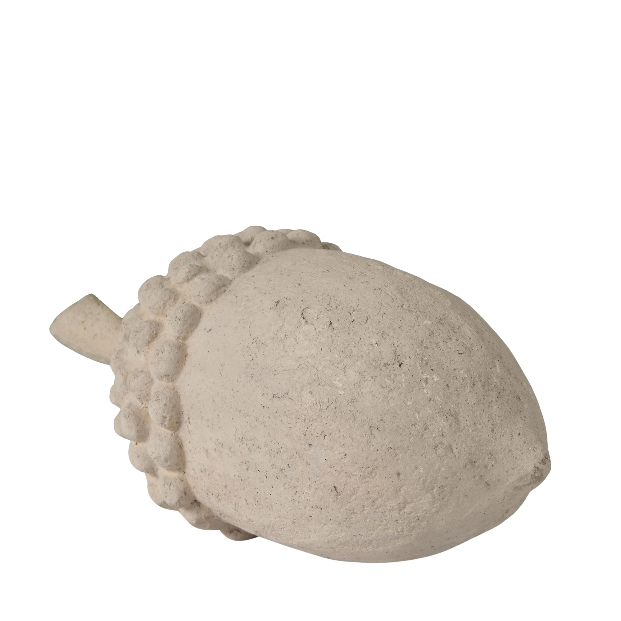 Acorn Large