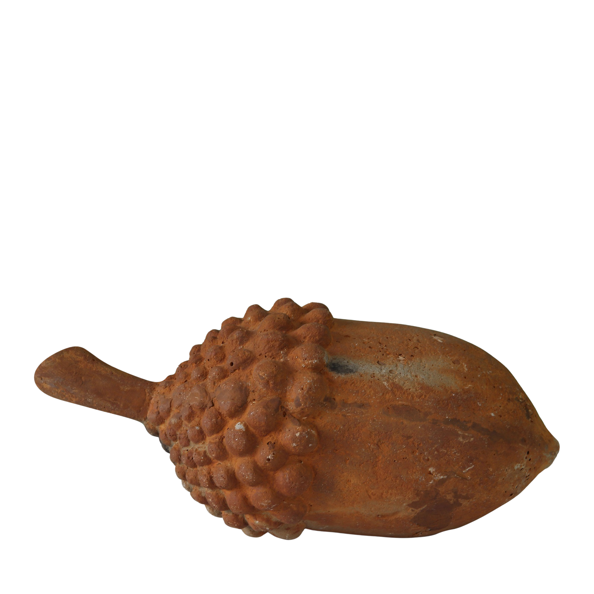 Acorn Small