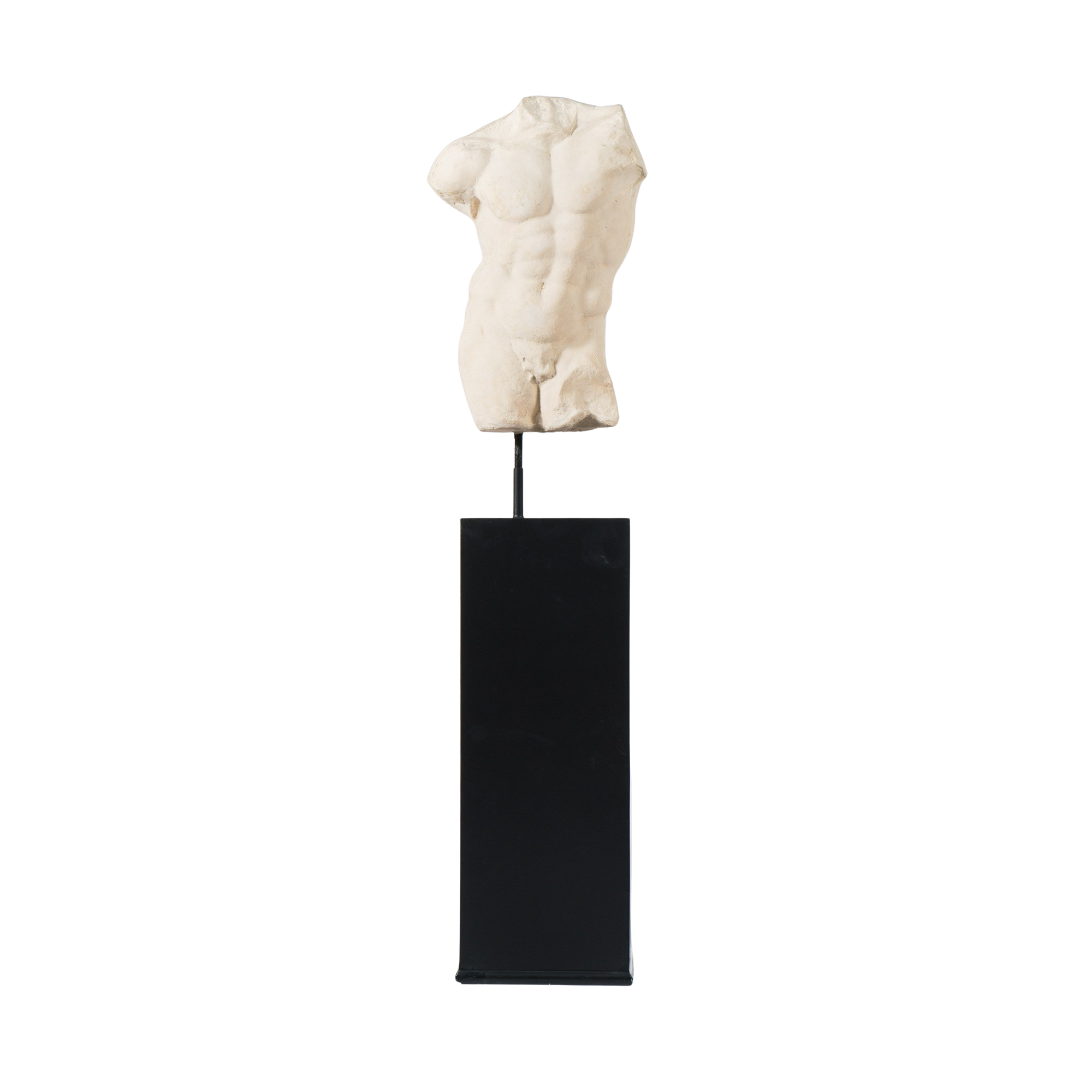 Andrea Male Torso on Tekko Stand