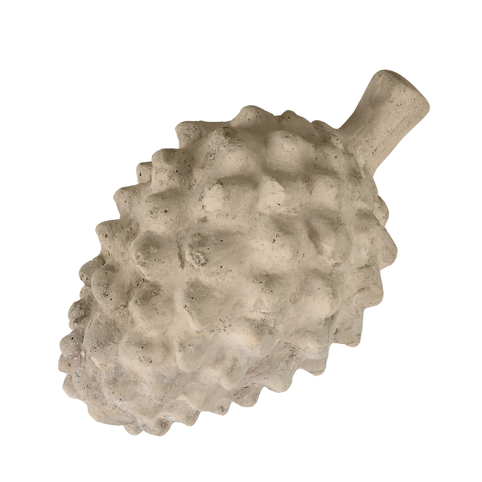 Pine Cone