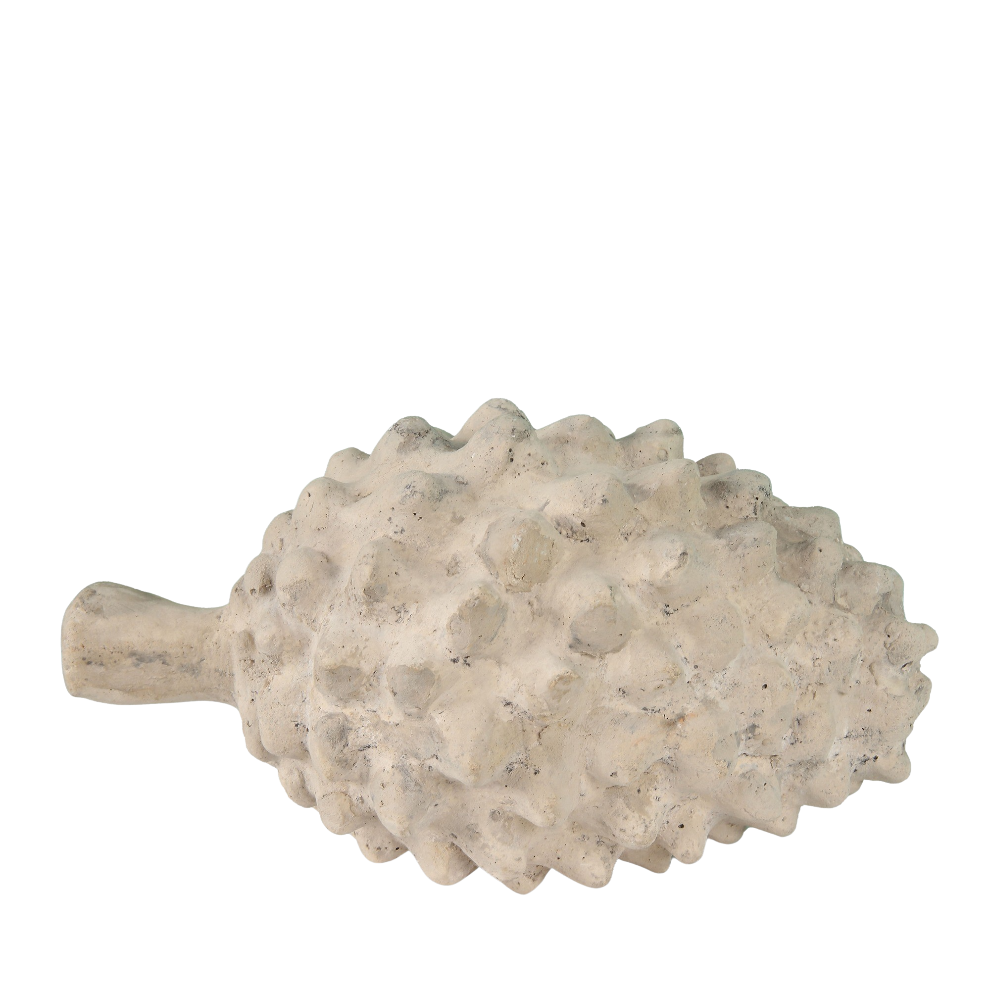 Pine Cone