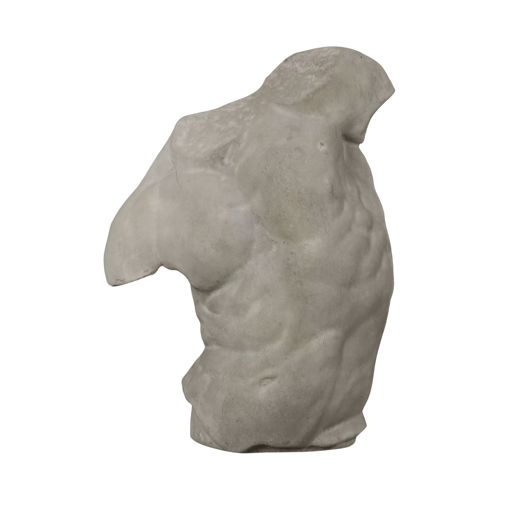 Salvadore Half Torso Wall Plaque
